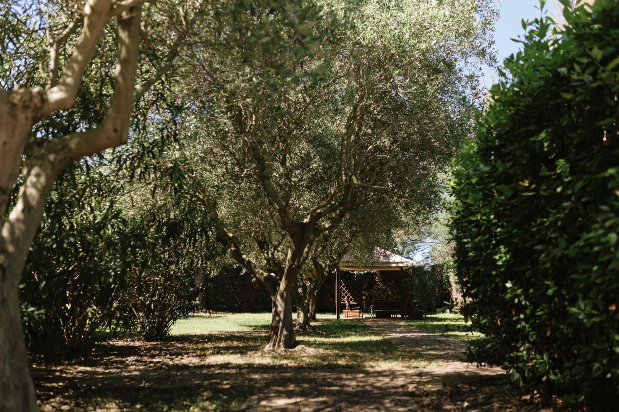 Villa Chiara Porto Recanati Zewnętrze zdjęcie